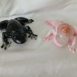 Colorful or Stoney Frog