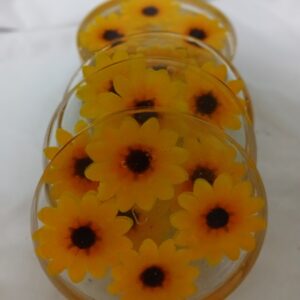 Daisy Coaster Set Of 4