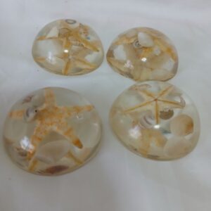 Shell Pool Pocket Markers
