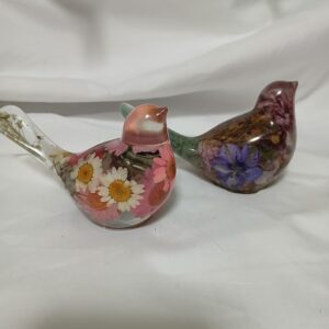 Beautiful Birds