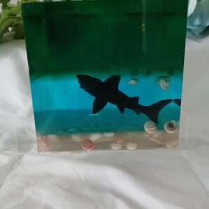 Large Shark Cube
