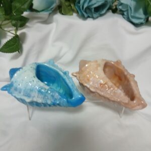 Large Conch Shell