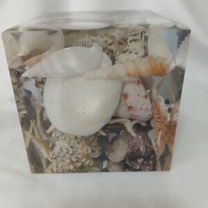 Large Shell Clear Cube