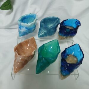 Decorative Beach Shell