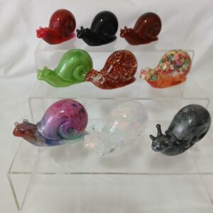 Medium Snail