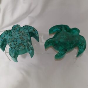 Flat Beach Turtle