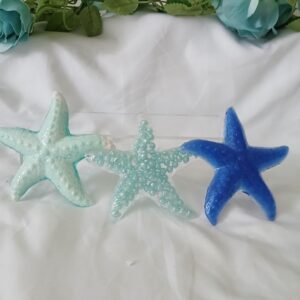 Beach Starfish