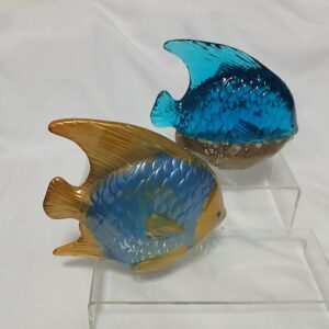 Tropical Fish