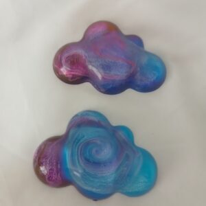 Colorful Petri Cloud