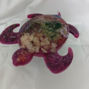 Fuchsia Flower Turtle