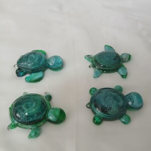 Green Petri Turtles with Turquoise and Shells