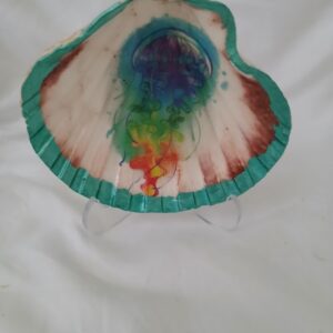 Jellyfish Real Shell