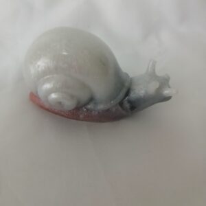 Medium White & Pink Snail