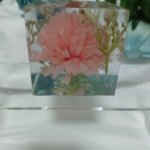 Peach Flower Cube