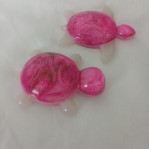Pink Petri Turtle