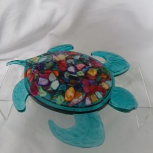 Shell Beach Turtle